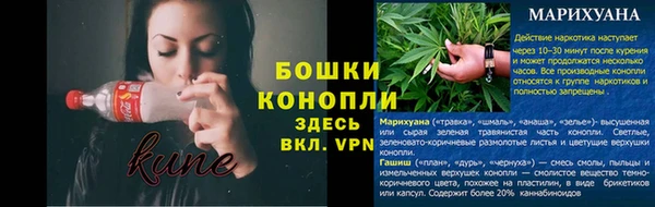 крисы Нефтегорск