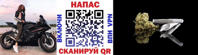 Каннабис сатива  Купить  Полярный 